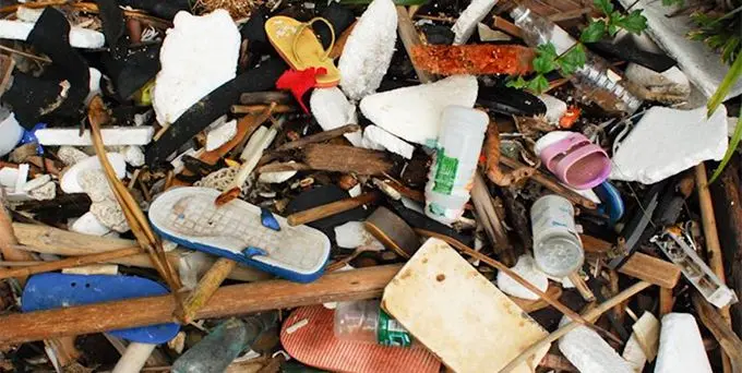 A common sight at some of our beaches.