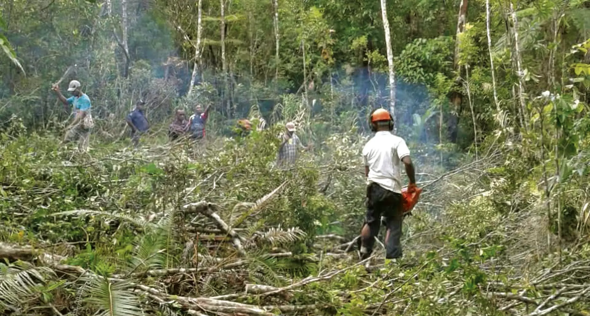 An area is being cleared near the site of the plane crash for a helicopter to land as preparations begin for the removal of the wreckage and bodies of the flight instructor and trainee pilot.