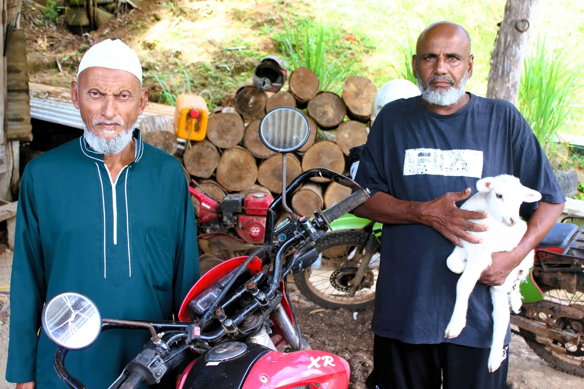 Agriculture, sheep farming local potential