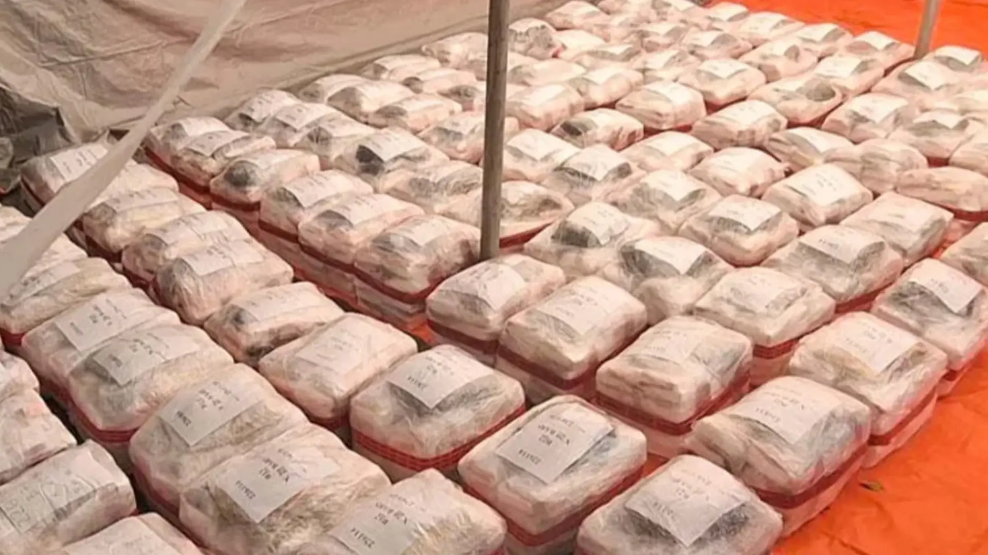 Cocaine seized from Vatia, Tavua during a major cocaine bust worth AUD$780M in 