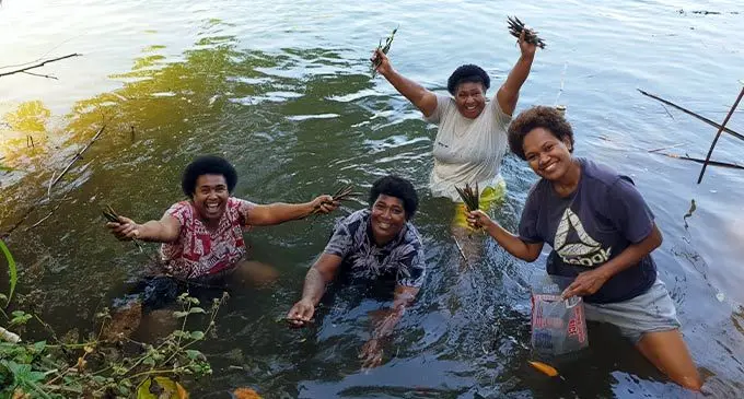From left: Naviyago Women’s Club secretary, Ana Guivalu, club member, Tarusila Nai, president, Vasemaca Nainai and member, Asilika Ratu planting mangroves at the Vitogo River on July 4, 2022. Photo: Nicolette Chambers
