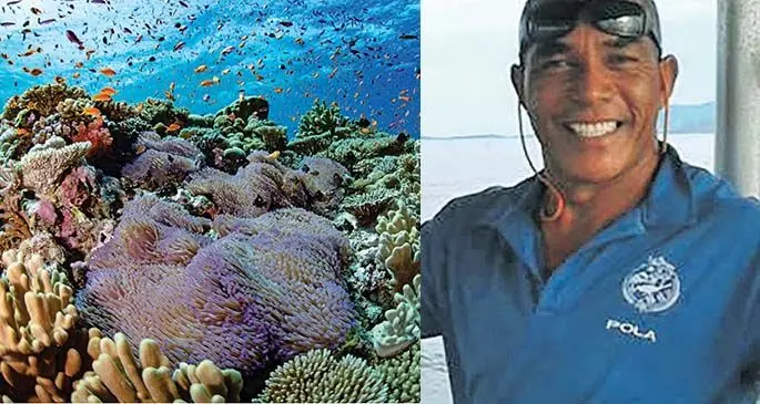 The healthy marine life in the Bligh Water (Left) and Pola Pangalau (Right).
