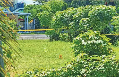 The vacant lot in Naodamu, Labasa where the body was discovered on January 19, 2025. Photo: Sampras Anand 
