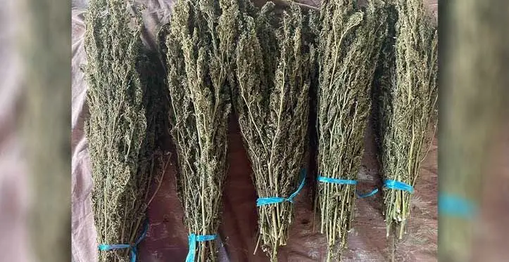 Source: Fiji Police