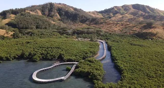 The wooden deck bridge built by Freesoul, which stretches out to sea, amoung thick mangroves. Photo: Kelera Sovasiga-Tuisawau