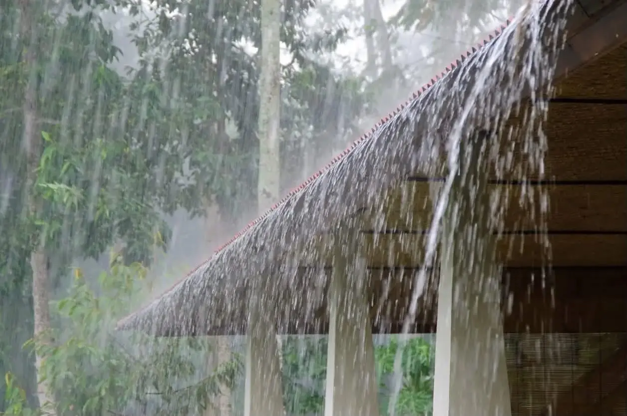 heavy-rain