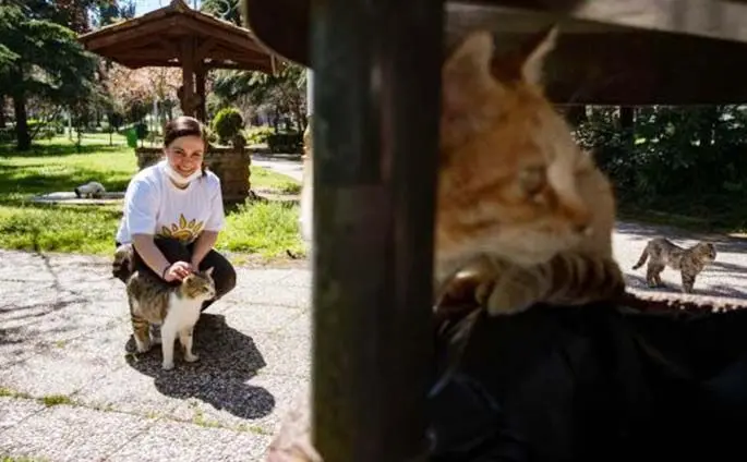 Bahar Cetinkaya, working for the Kadikoy Municipality, one of Istanbul's crowded districts on the Asian side, takes care of the stray cats, on 18 April 2020. (Xinhua)