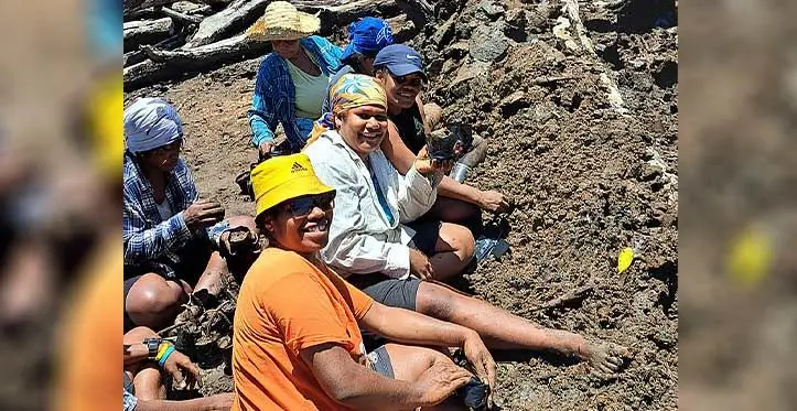 Women planting mangroves saplings for on-site nurseries at Navitilevu Bay.