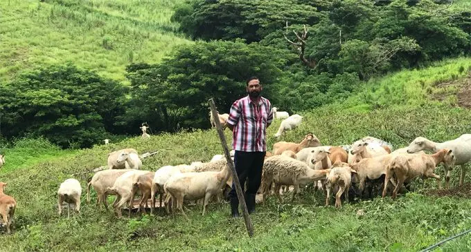 Gopal Reddy at his farm. Photo: Lusi Banuve