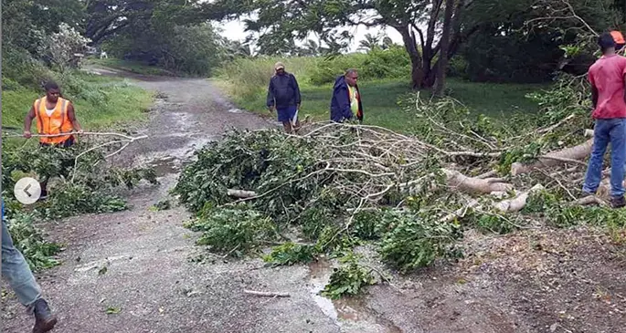 Ministry of Forestry North staff members clearing debris along Malau Road. This is at the old Fiji Forest Industries (FFI) compound near Vuo Village and 15 minutes from Labasa Town. This will be soon used as a COVID-19 isolation centre. Photo: Ministry of Forestry_Fiji, Orisi Baleivatea