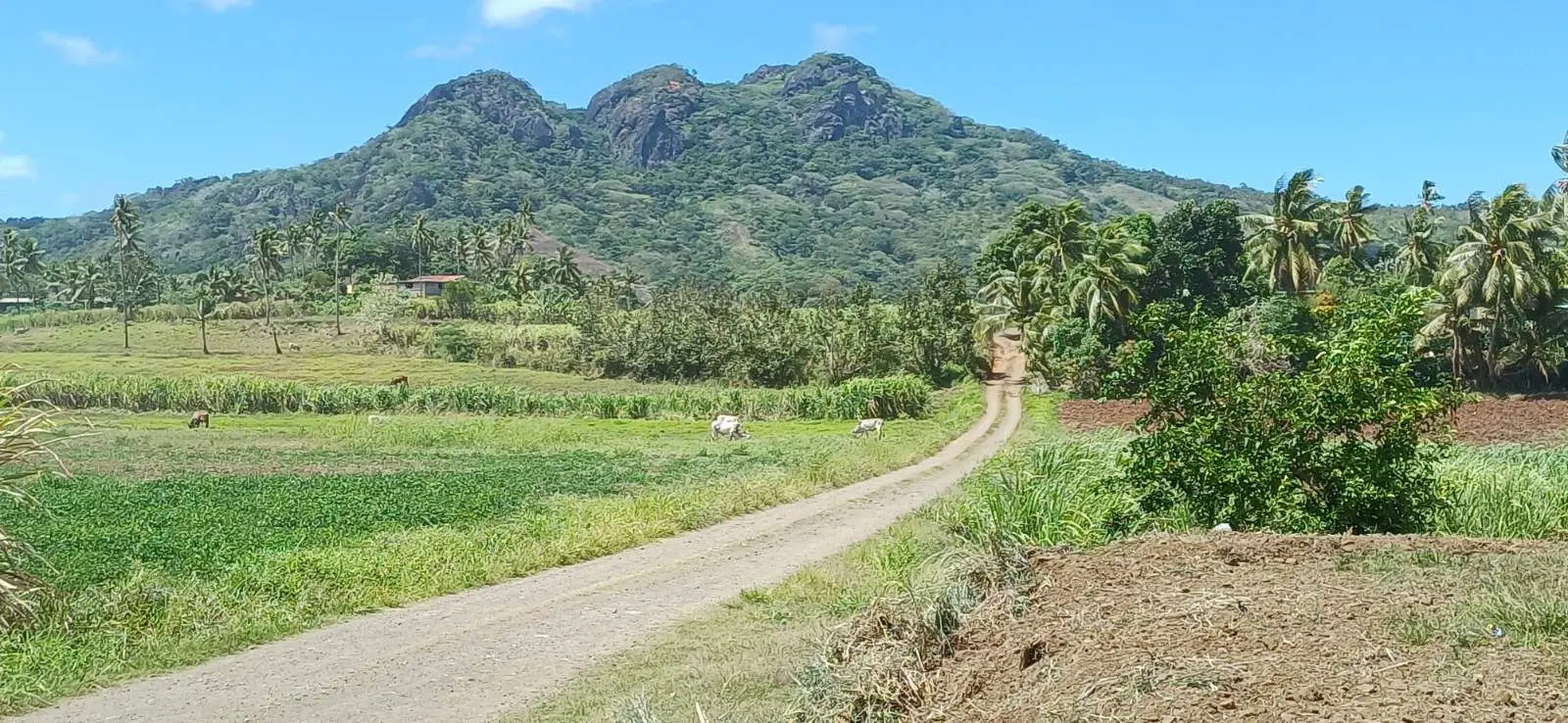 The Three Sisters Mountain.