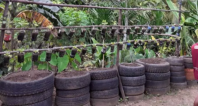 An example of how composting, recycling and backyard gardening at the Wailea Informal Settlement.
