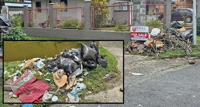 Rubbish strewn along Bayview Heights in Suva. Photo: Sosiveta Korobiau
