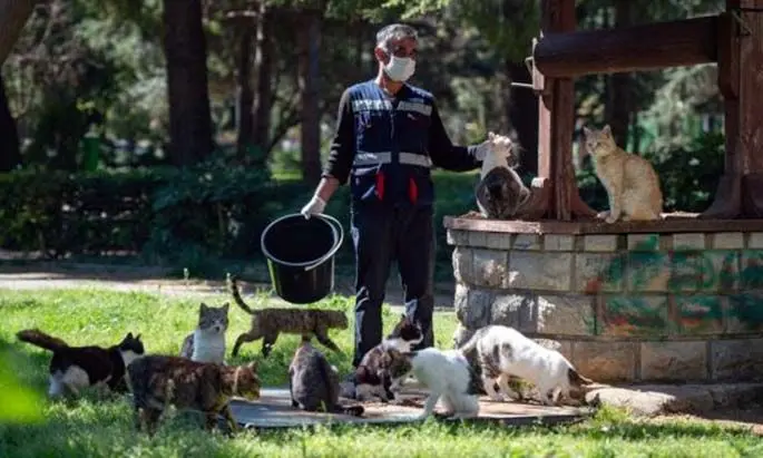 A staff member working for the Kadikoy Municipality, one of Istanbul's crowded districts on the Asian side, takes care of the stray cats, on 18 April 2020. (Xinhua)
