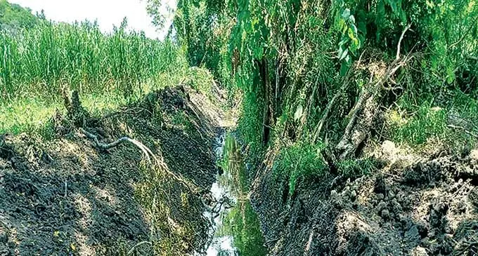 Desilting at Vutuni Creek