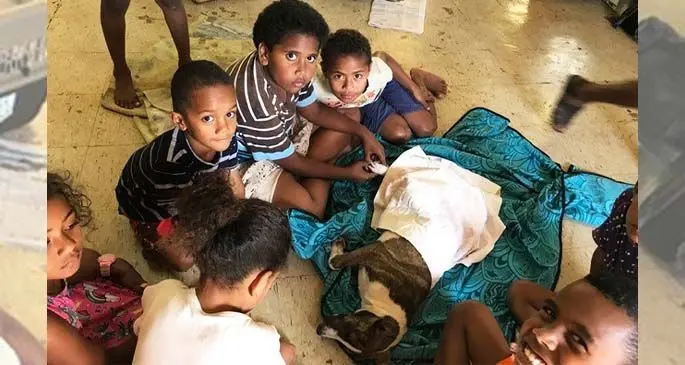Children in Taveuni comforting their pet after its procedure. Photo: Taveuni Animal Lovers