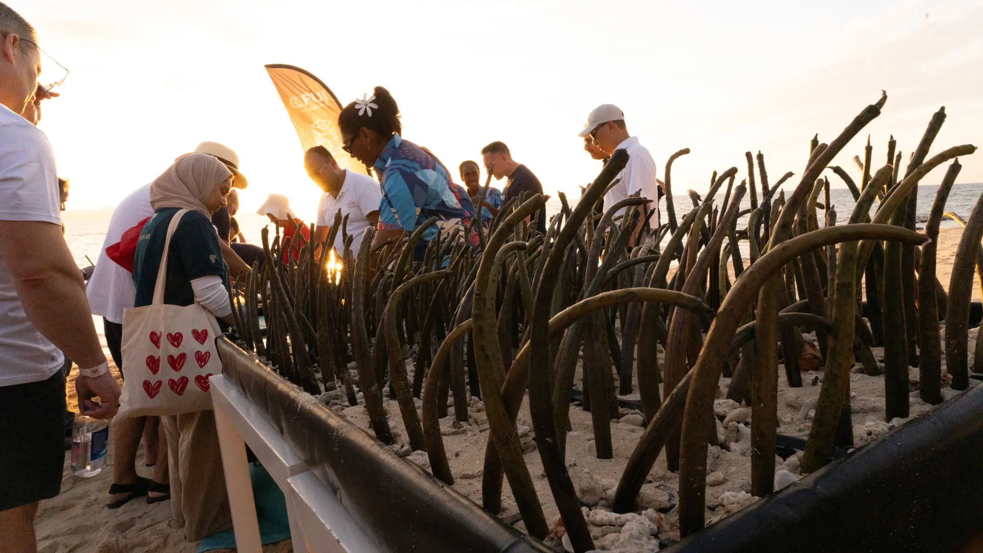 SeniSenior executives attending the oneworld Management Board meeting participated in planting mangrove seedlings along the shoreline of Malamala Island.