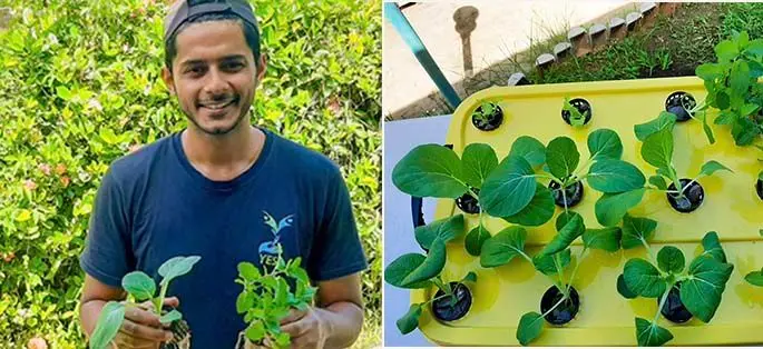 Smart Farms Fiji founder Rinesh Sharma with his seedlings.