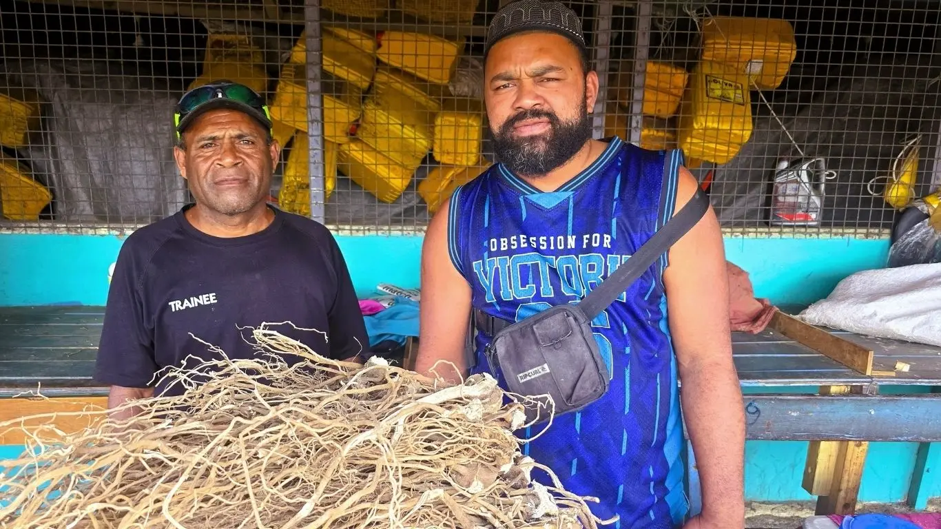  Yaqona farmer and vendor (left) Eneri Balei and Kamilo Naceno, at the Labasa Municipal Market on October 12, 2026.