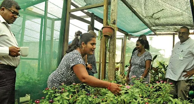 Minister for Agriculture, Waterways and Environment Mahendra Reddy (left), at the floriculture cluster at Nawaka, Nadi.  Photo: DEPTFO News