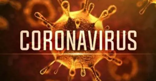 Corona Virus