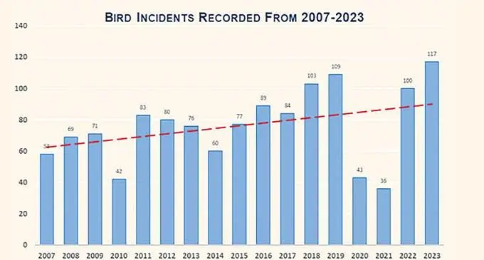 Source: Civil Aviation Authority of Fiji