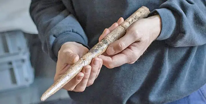 whale-bone