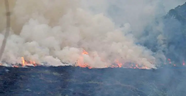 Forest fire in Sigatoka on October 11, 2023.