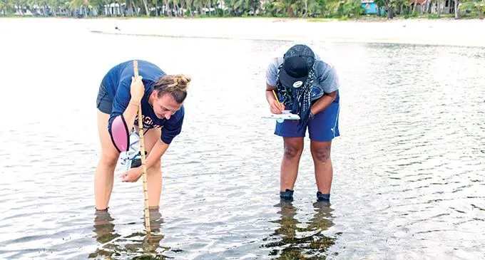 Seagrass researcher Carrie Wentzel inspecting the seagrass in Fulaga, Lau. Photo: Kelera Sovasiga