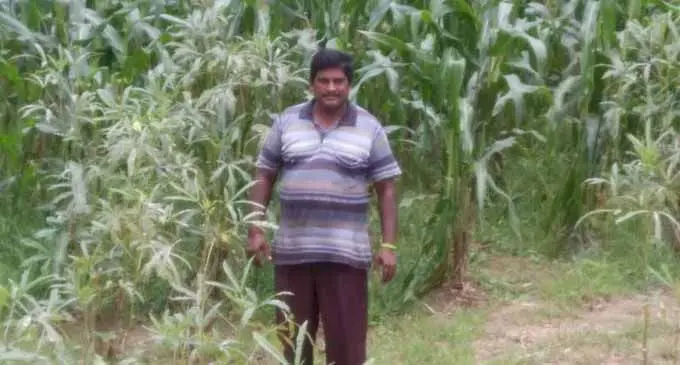 Abi Ram at his farm in Belego in Savusavu February 15, 2018. Photo: Wati Talebula