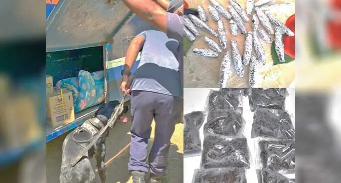 Two students, one from Lautoka, the other from Nausori, were arrested after they were allegedly found in possession of illicit drugs in the school premises over the past week.
