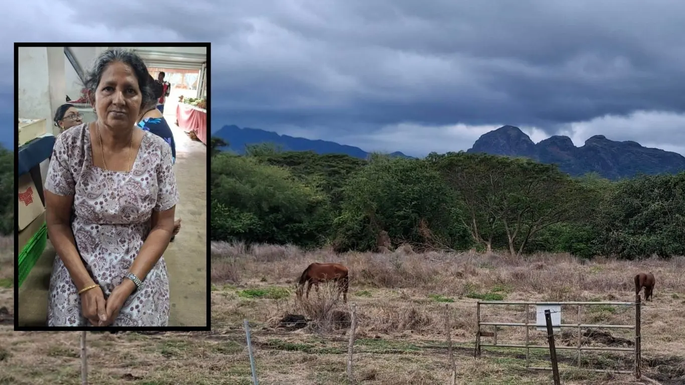 Rakiraki dry spell forces farmer to give up cattle