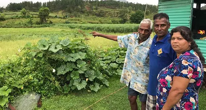Vishnu Deo, 76, with his son Gyan Chand and daughter in-law Anila Devi pointing at the vegetable farm as rain covers the mountains at Korotari in Labasa on January 16, 2020.  Photo: Shratika Naidu 