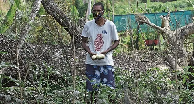 Apisalome Baleibau, 56, at his farm in Malau, Labasa on June 29, 2021. Photo: Sampras Anand