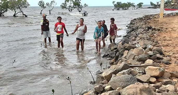 Members of the different youth groups with the children of Nakavika Settlement in Ba planting mangroves along the settlement’s coastline area.