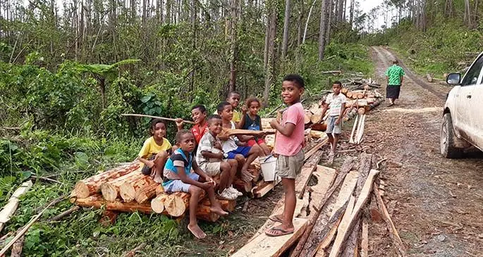 Children of Kadavu sit on the sawn pine logs that will be used to provide them shelter in the coming weeks. Photo: Ministry of Forestry
