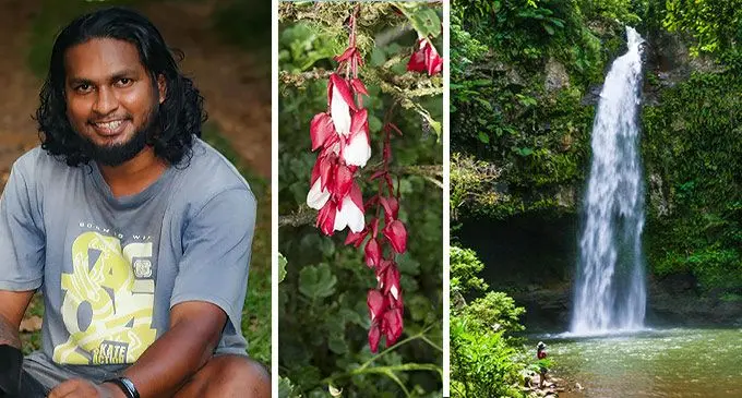 Joshua Prasad, the beautiful Tagimouicia, endemic to Taveuni’s highland rainforest and Tavoro Waterfalls.
