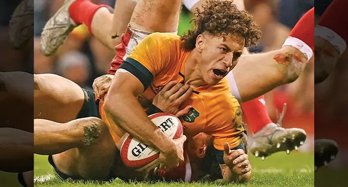 Wallabies winger Mark Nawaqanitawase scores one of his tries against Wales in Cardiff on November 26, 2022. Photo: Wales Online
