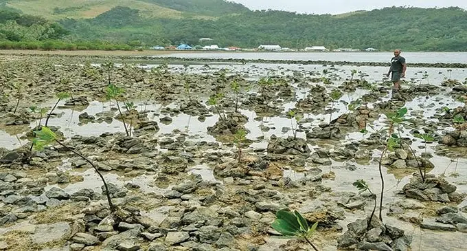 Sikeli Ralovu at Bulia, with Mavana Village in the background. Photo: Eroni Bale Viri