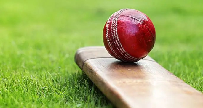 Cricket ball resting on a cricket bat on green grass of cricket pitch