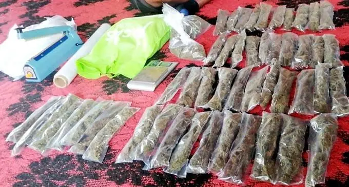 A substantial amount of dried leaves believed to be marijuana are found after a joint raid conducted by the Southern Division Task force, K9 and the Fiji Detector Dog Unit. Photo: Police Media Cell