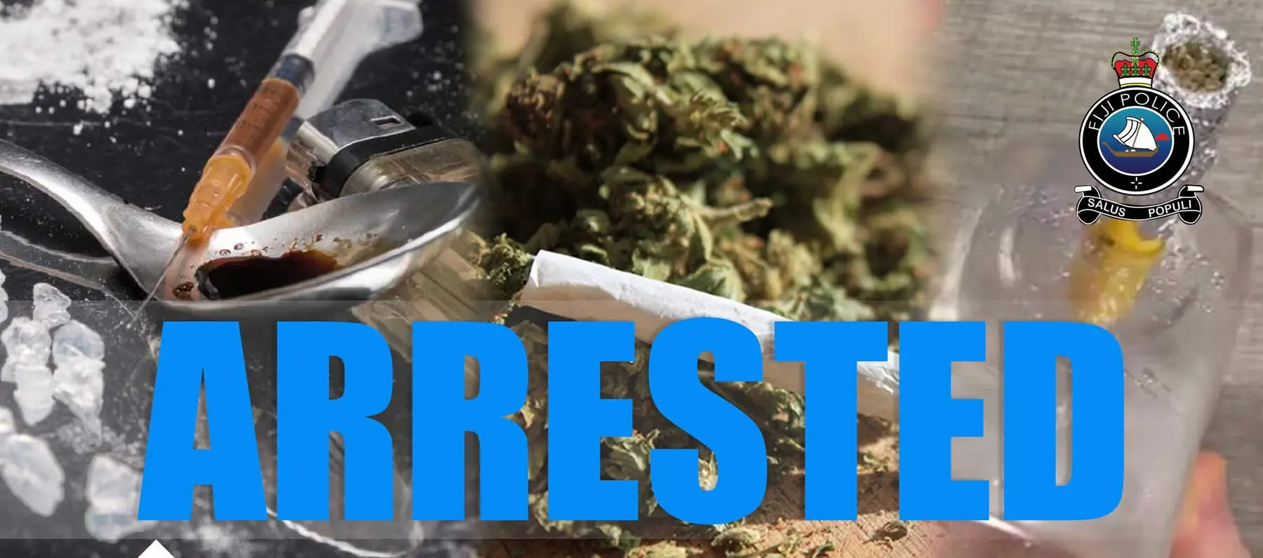More than 1,500 suspected marijuana plants were found earlier this week in the Vesivuru farming area in Lea.