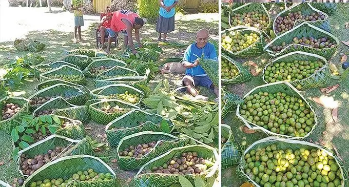 Na dawa ka ra sa tawa tu ena kato tali drauniniu ni bera ni la’ki sevutaki.