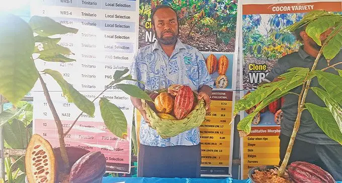 Ko Sefanaia Nakidakida ka vakaraitaka tiko eso na mataqali koko ka sa bula vinaka tiko e na noda vanua nikua.
