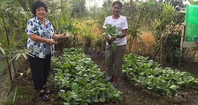 Jenny Seeto, Businesswoman, Chair of Investment Fiji Board, with her housekeeper Aseri Tinai at her backyard garden at Naivurevure Road, TLTB Subdivision, Tamavua, Suva. Photo: Maraia Vula