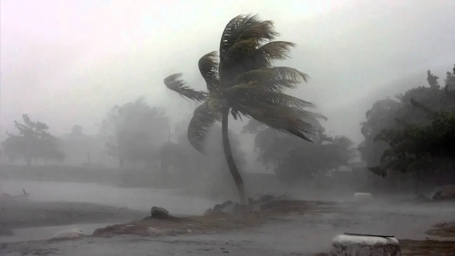Strong winds, heavy rain to affect Fiji from Wednesday