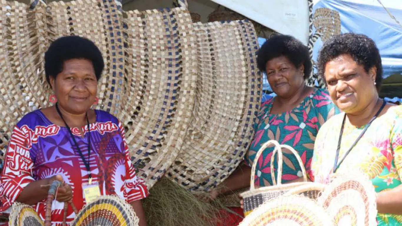 Govt adopts five‑year plan to address CEDAW concerns