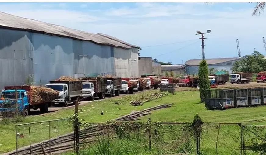 cane truck