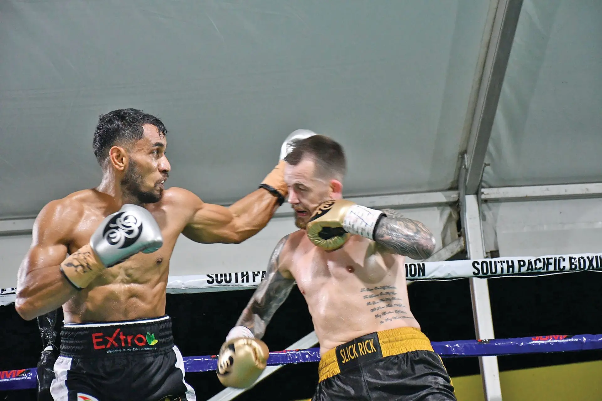 Winston Hill (left) is expected to return in the ring next year.