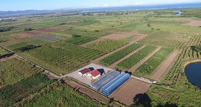 An aerial view of Grace Road Group farm in Sabeto, Nadi.
